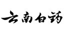 為云南白藥集團(tuán)提供藥學(xué)翻譯